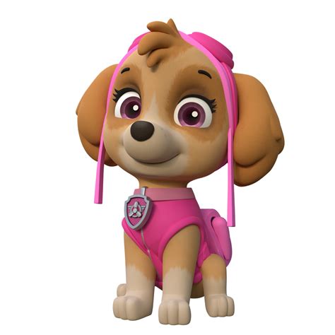 skye patrulla canina|paw patrol skye mujer.